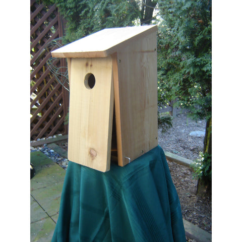 I Can Build It Nestbox Kit-Flicker