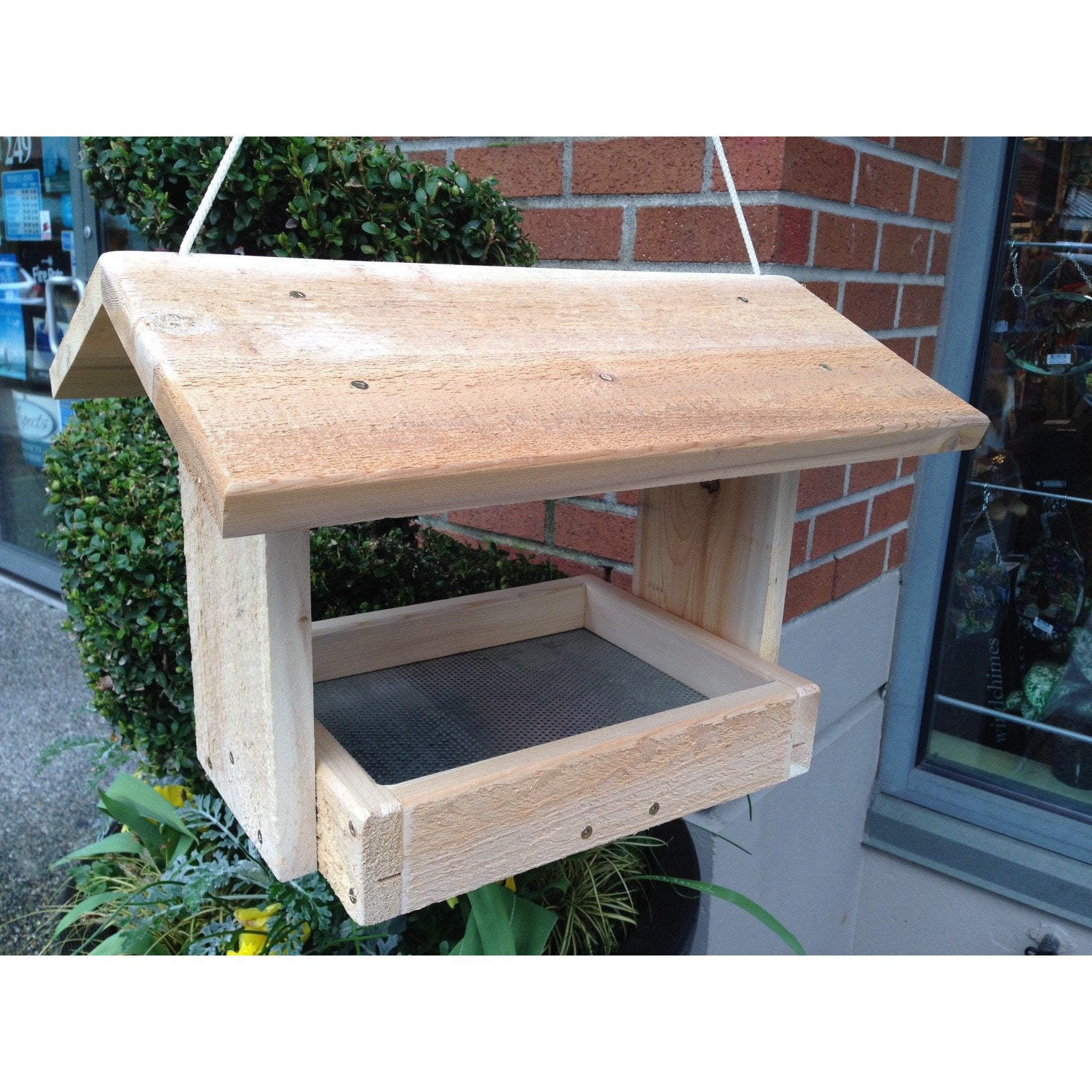 Wild Bird Trading Medium Fly-Thru Feeder