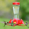 Perky Pet Four Fountain Hummingbird Feeder
