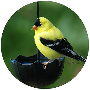 Andreas Silicone Trivet - Goldfinch