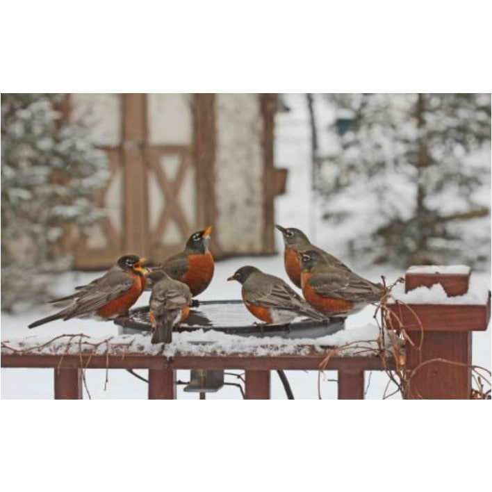 Erva Heated Bird Bath Dish with Deck Mount Bracket
