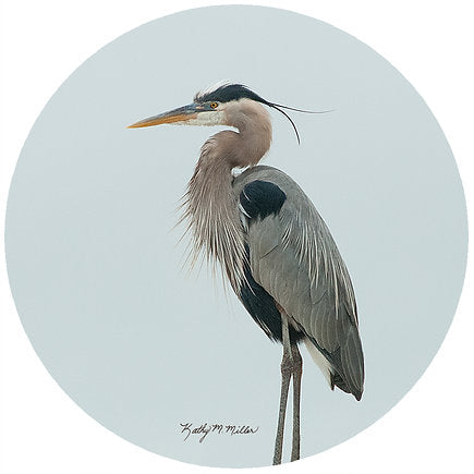 Andreas Silicone Trivet - Heron