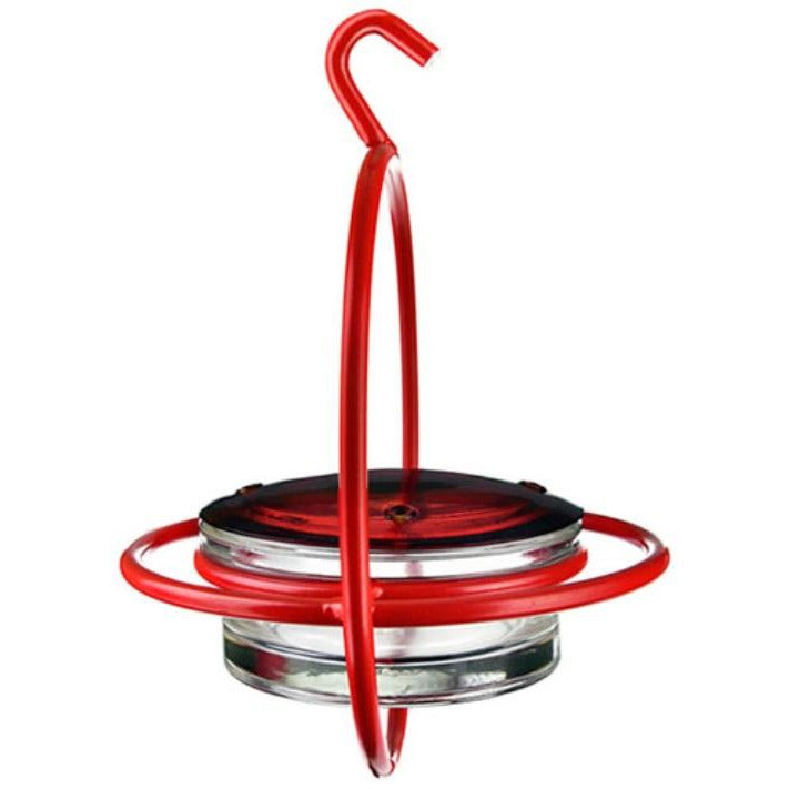 Hanging Sphere Hummingbird Feeder with Perch