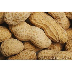 In-Shell Peanuts