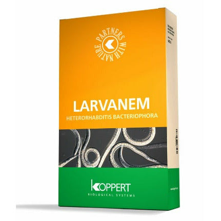 Nematodes from Koppert Biological Systems