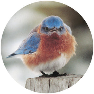 Andreas Silicone Trivet - Mad Bluebird