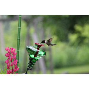 Parasol Mini Blossom Stake Hummingbird Feeder One Unit