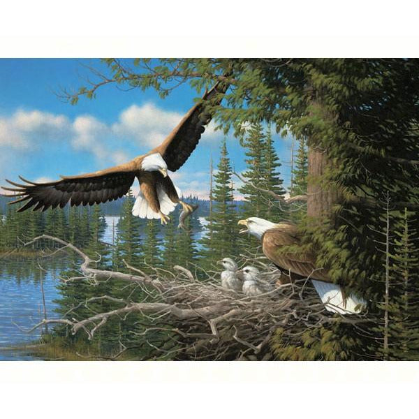 Nesting Eagles 1000 Piece Puzzle