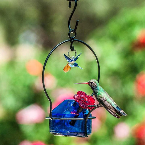 Image of Parasol Lunch Pail One Hummingbird Feeder