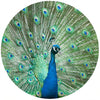 Andreas Silicone Trivet - Peacock