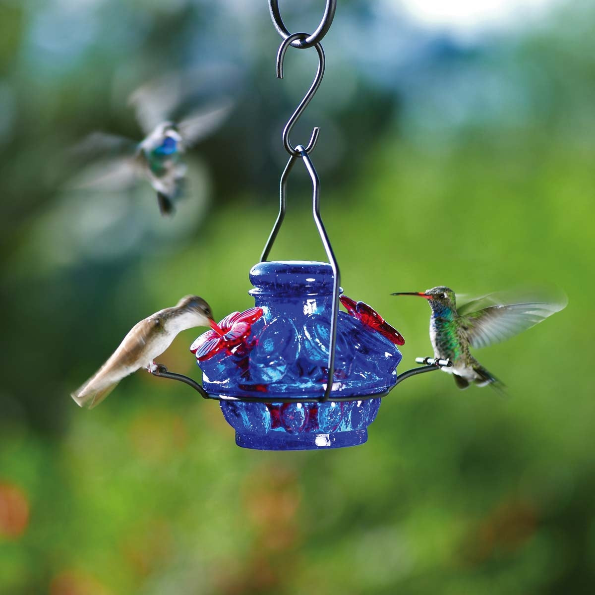 Parasol Pot De Creme Moon & Stars Hummingbird Feeder