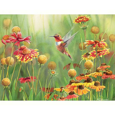 Rufous Hummingbird 500 Piece Puzzle