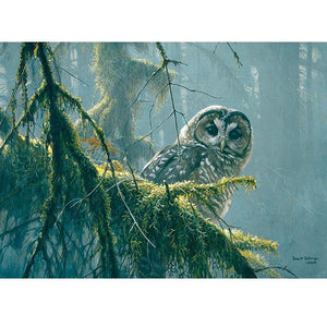 Spotted Owl Mossy Branches 500 Piece Puzzle