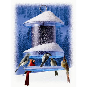 All Weather Feeder