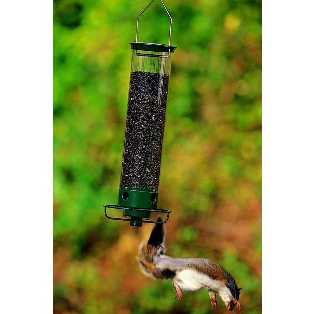 Droll Yankee Flipper Squirrel-Proof Bird Feeder