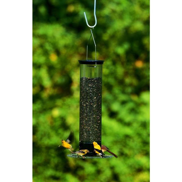 Droll Yankee Tipper Squirrel-Proof Bird Feeder