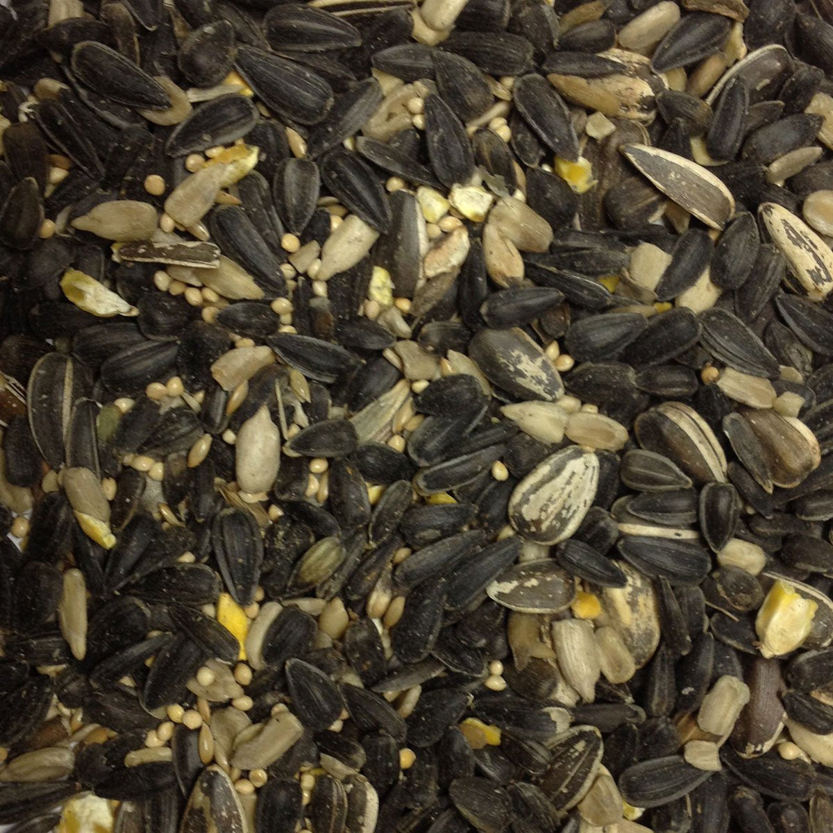 Premium Wild Bird Mix